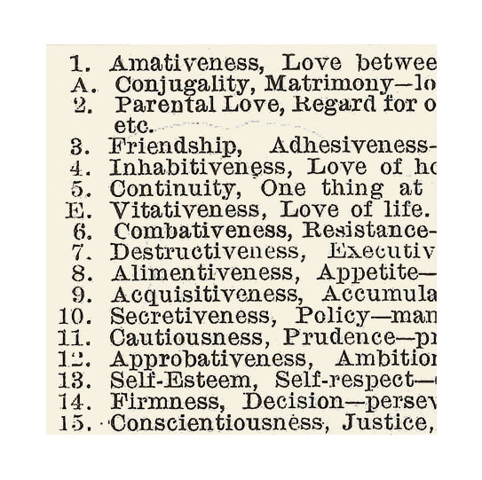 Phrenological Chart  Poster