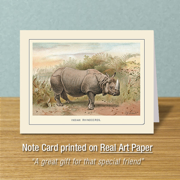 Indian Rhinoceros, Greeting Card, Natural History Illustration