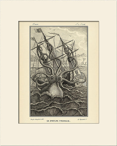 Giant Octopus by Pierre Dénys, Vintage Sea Life Art Print, Natural History Illustration