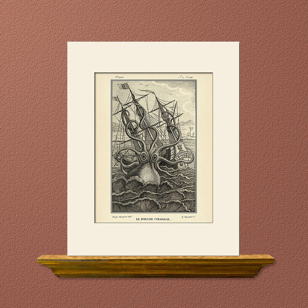 Giant Octopus by Pierre Dénys, Vintage Sea Life Art Print, Natural History Illustration