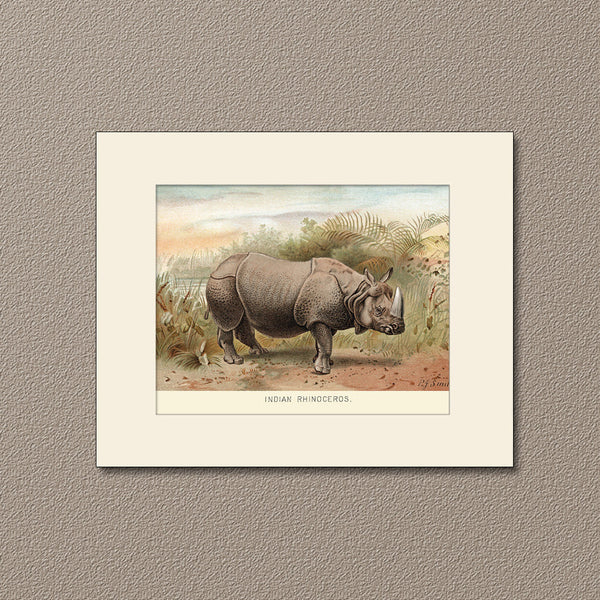 Indian Rhinoceros, Art Print by Lydekker, Natural History Illustration