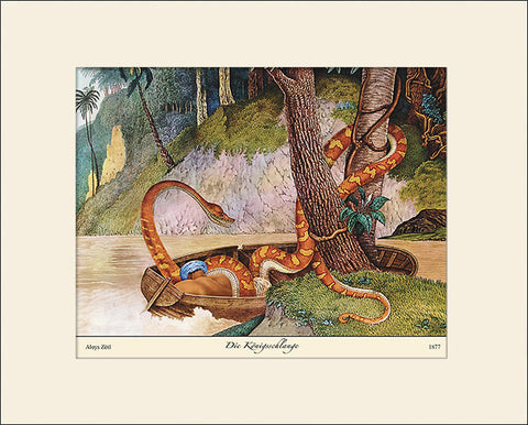 King Snake, Art Print by Aloys Zötl, Natural History Illustration