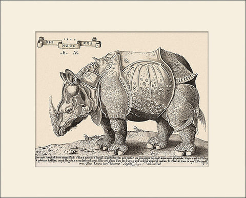 Rhinoceros, Art Print by Durer-Vico, Natural History Illustration