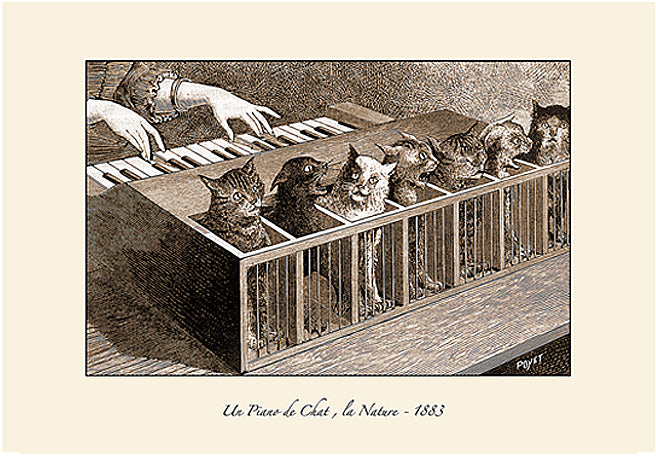Cat Piano For The Insane, "Un Piano de Chat"