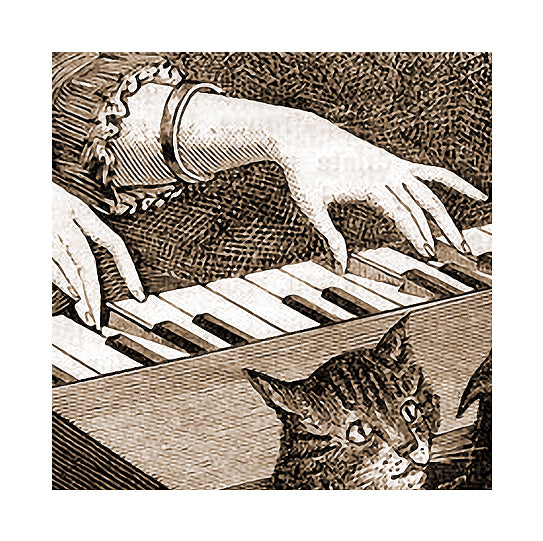 Cat Piano For The Insane, "Un Piano de Chat"